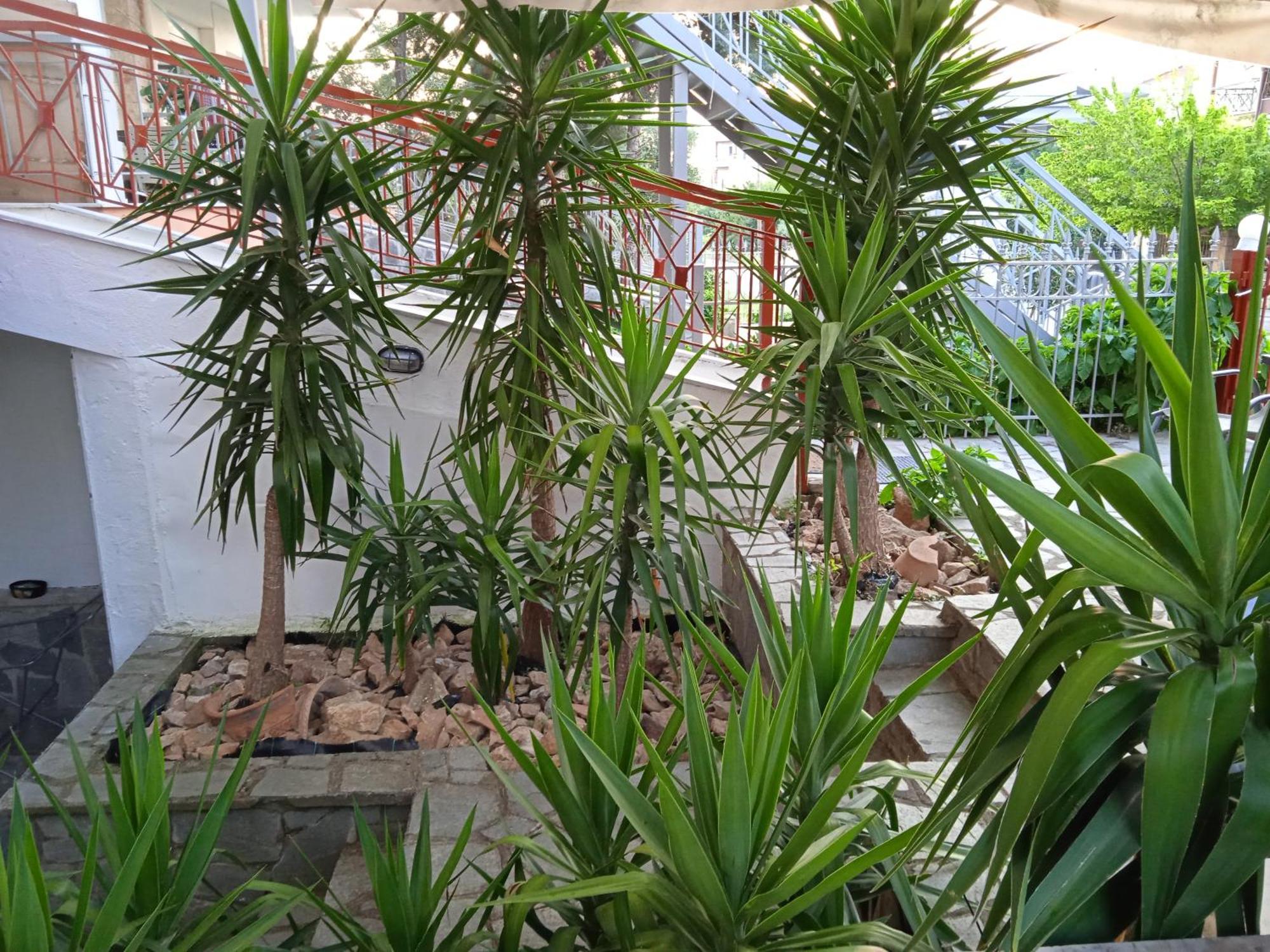 Blue Moon Apartments Nea Michaniona Room photo