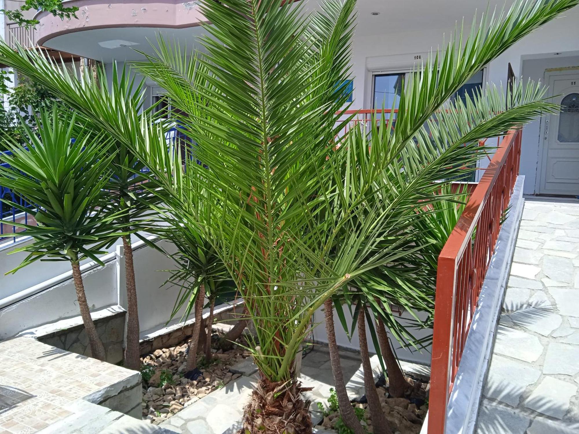 Blue Moon Apartments Nea Michaniona Room photo