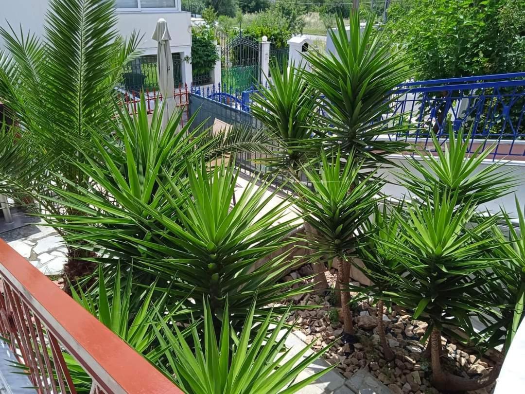 Blue Moon Apartments Nea Michaniona Room photo